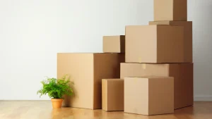 Conseils pour préparer son box pour le Printemps